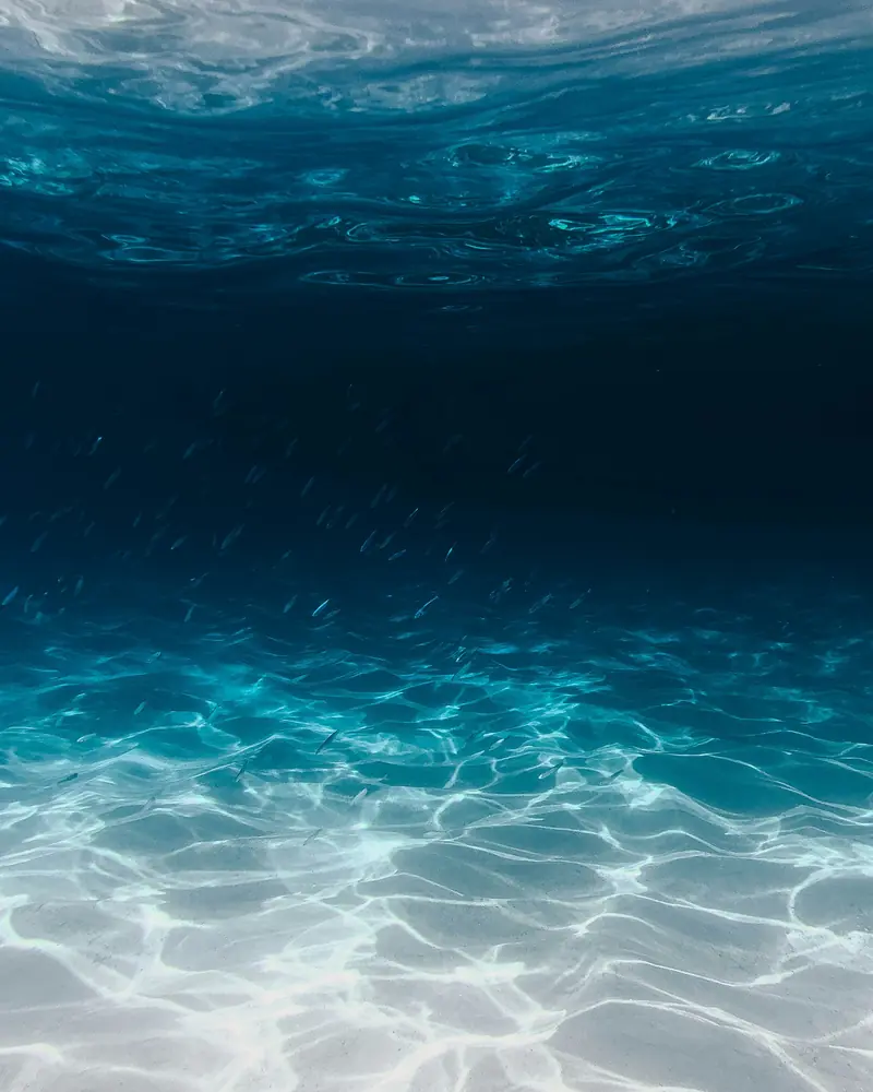 Getting to Bioluminescent Bay